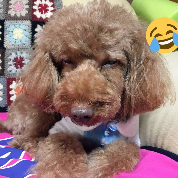 D6e37795 be2f 4efd 9629 9572cb78a3d6 1513650132358