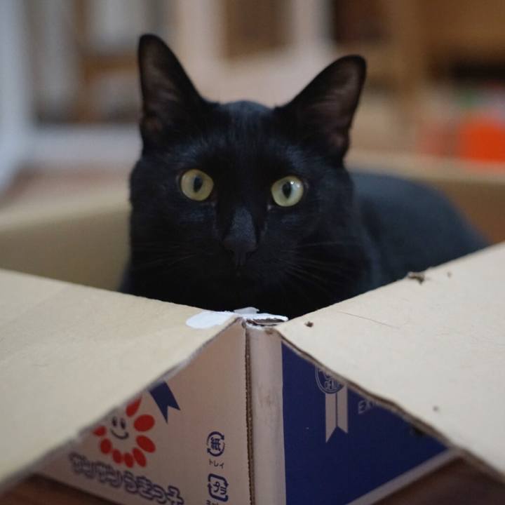 D6e37ad1 2e02 4d34 92d4 c6d2e3cac6aa 1528846417705