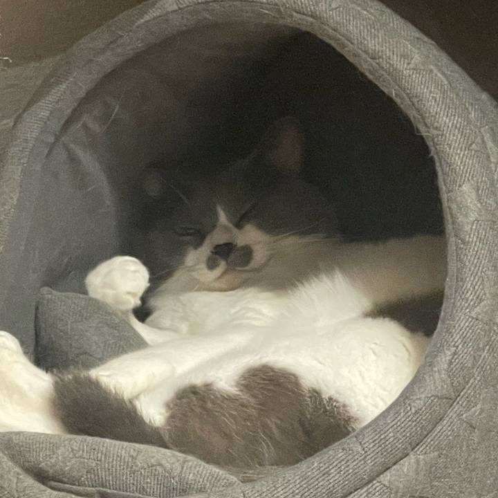 D6e3828c 3dd3 42b8 ba9b 39cf8bd991e4 1665835510692