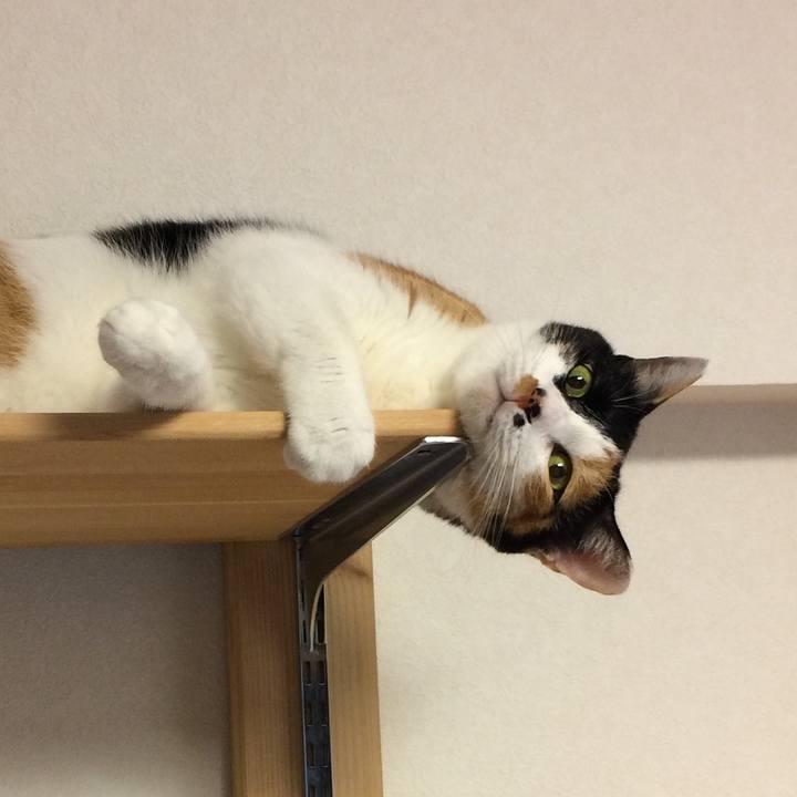 D6e38c4e c100 453e b810 29a5ecdab690 1570535226739