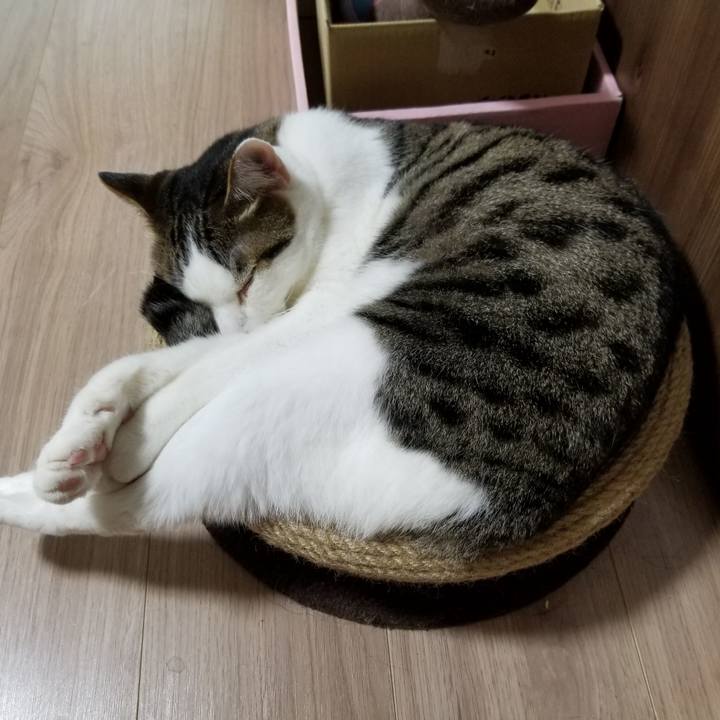 D6e3da7c 9e76 43d4 b37d 3b55cbcbf34c 1623966434128