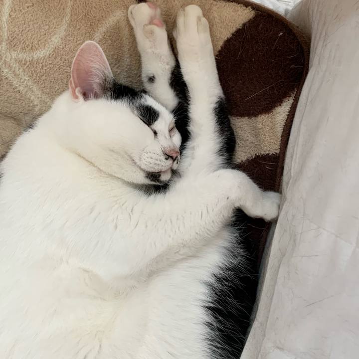 D6e3e0bb 24fa 4361 82a8 7a13b3e7e3bd 1765150890489