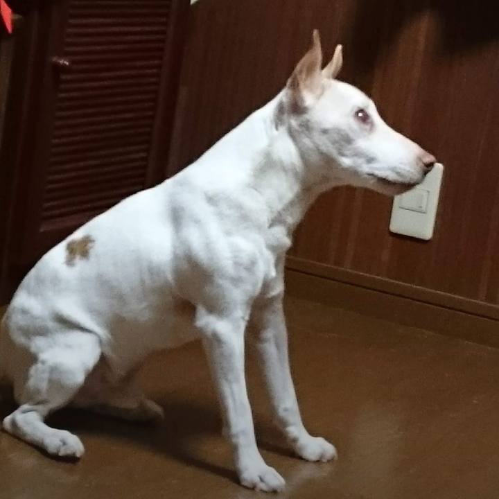 D6e402a1 499d 40eb 8335 8a9a4b2ad623 1633743370651