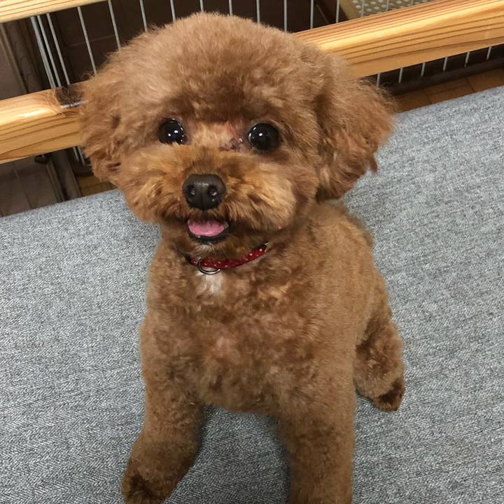 D6e43ad9 986e 4139 819e c52839c2bac0 1589103461324