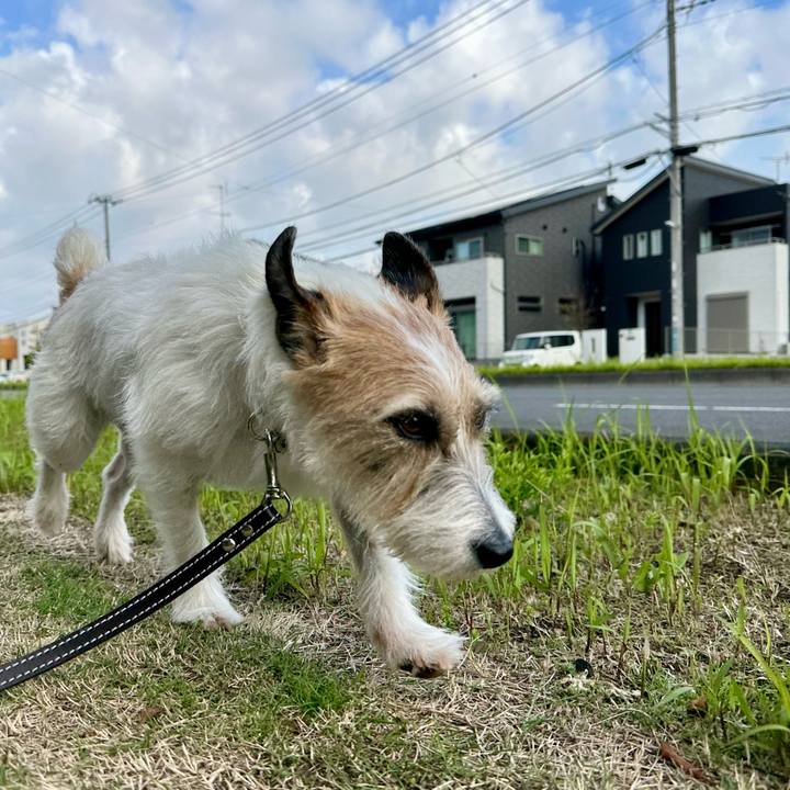 D6e487c2 948f 4246 a854 b0e9d88afc14 1746058961173