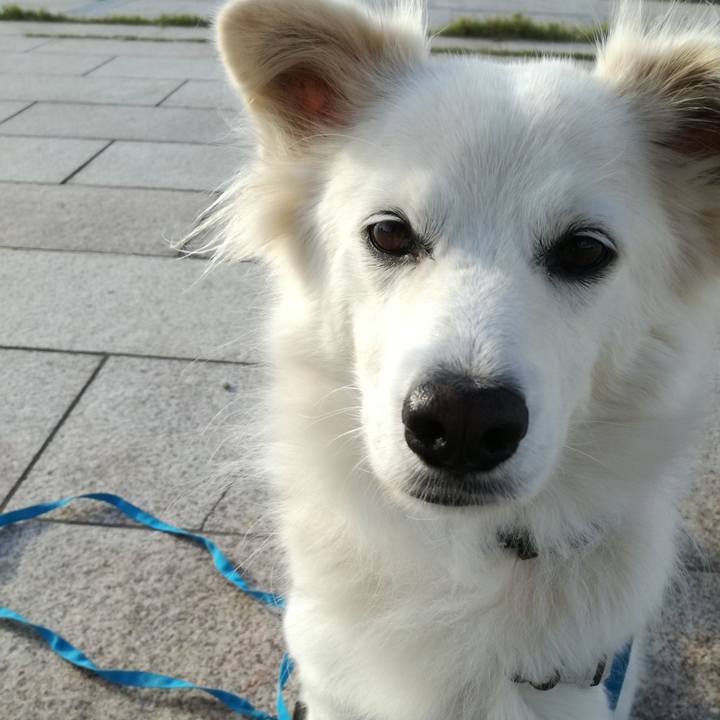 D6e4ad48 e363 4483 ba7d d33a0aeb7457 1540870784559