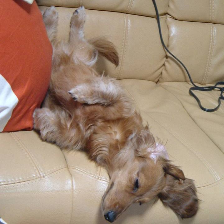 D6e4f067 d0da 4147 981a d595f842f8e3 1532110567155