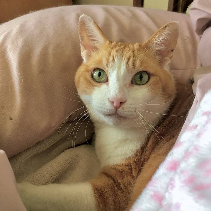 D6e50ea7 8d1d 49f0 ae54 a5dc25d42ad3 1621633204754