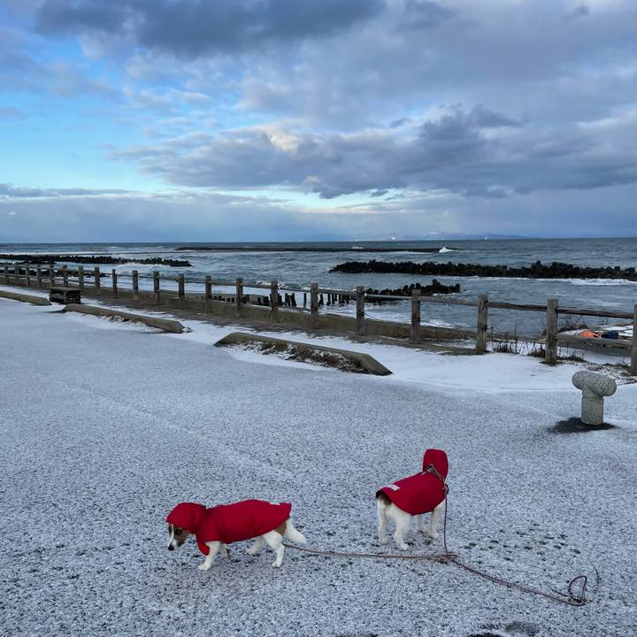 D6e517a8 2996 4653 8fe3 a6d2cc9fa1a3 1676505624008