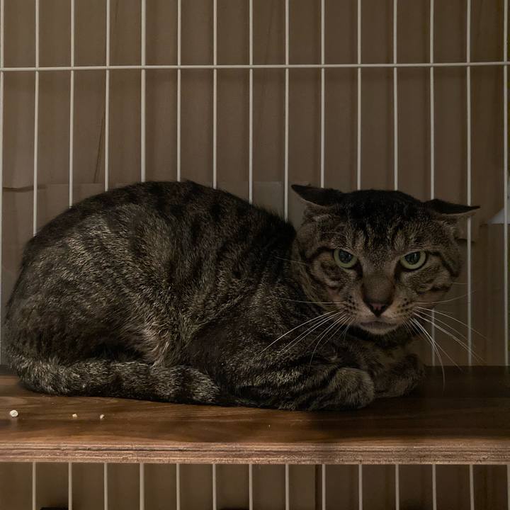 D6e526bb 726b 48fb 96e3 9f765a3e116f 1659741544567