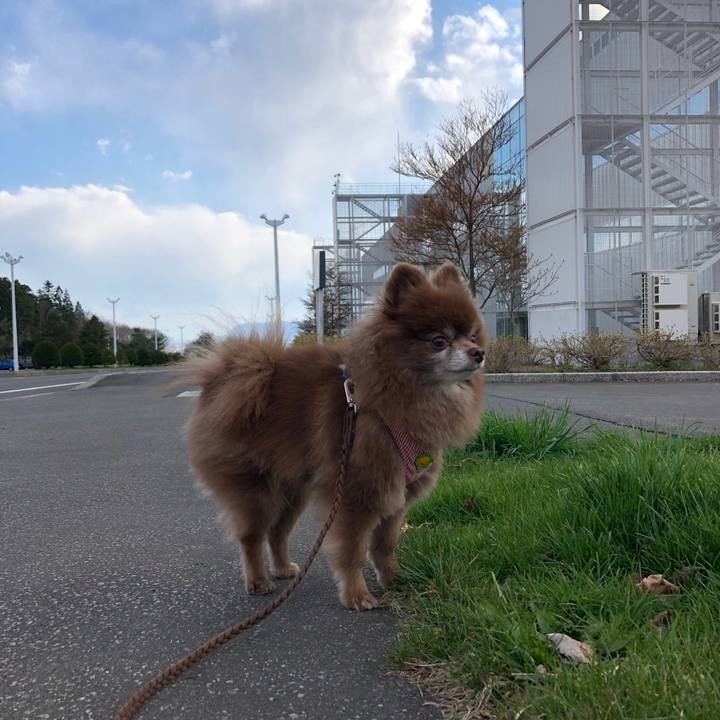 D6e5350e 5937 4451 bd28 58c265a3f3ff 1619334607909