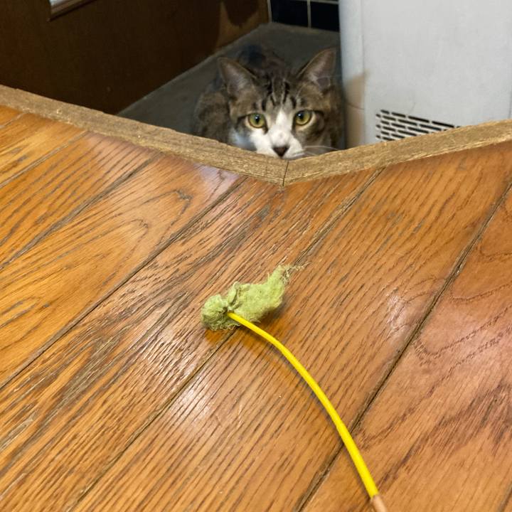 D6e5c4b3 6b9c 4d5d a225 58f6570572e7 1771550880078