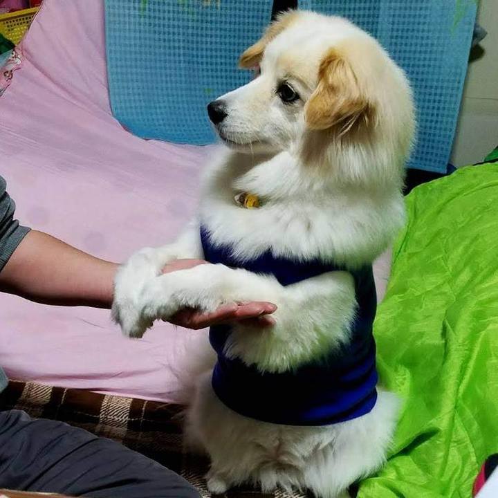 D6e5c75a 0df0 4633 8ddf 649353cd4598 1638243296119