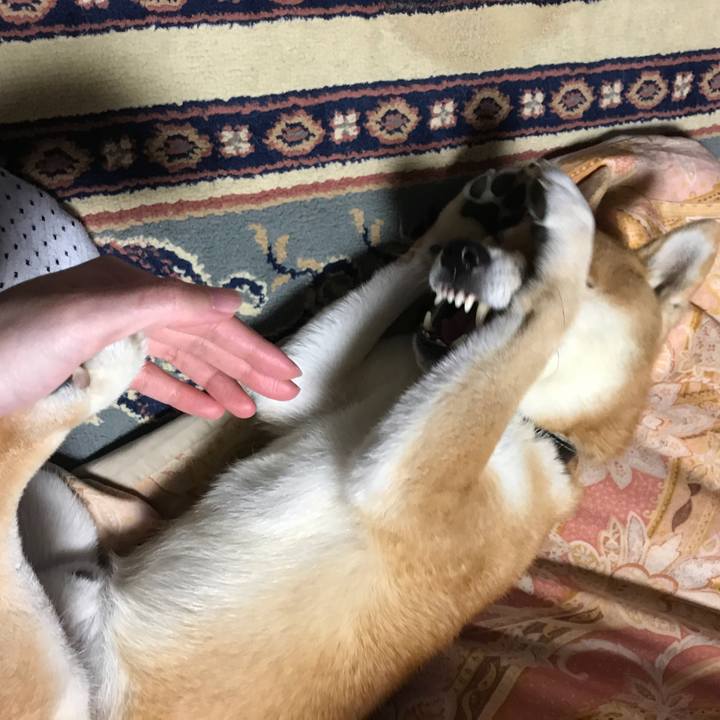 D6e5f793 1f26 4969 851c 57ef45e8d636 1545478047036