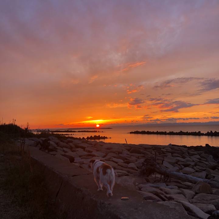 D6e5fb8f e07f 4cd0 9552 b2b1a1aab5bd 1602925108470