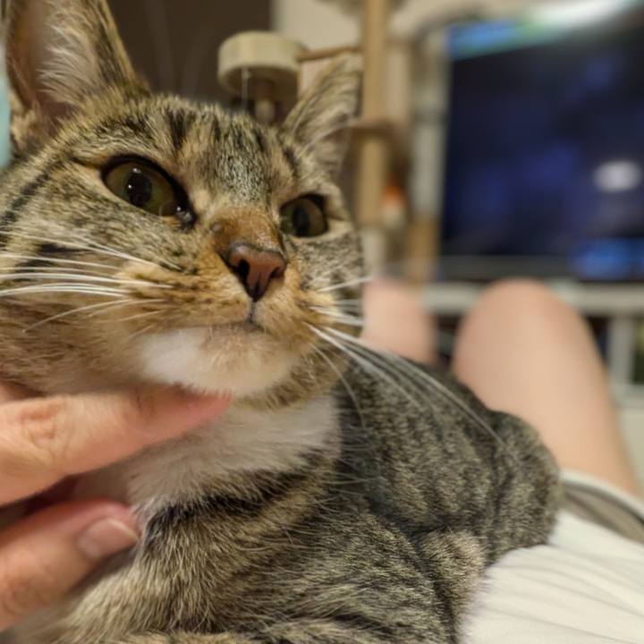 D6e61f4d ab6f 451d a5e8 c1b85caac3ae 1720088863622