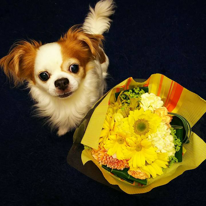 D6e6375f 3d98 4a0a 83d4 ad63e3d2fd28 1530276644600