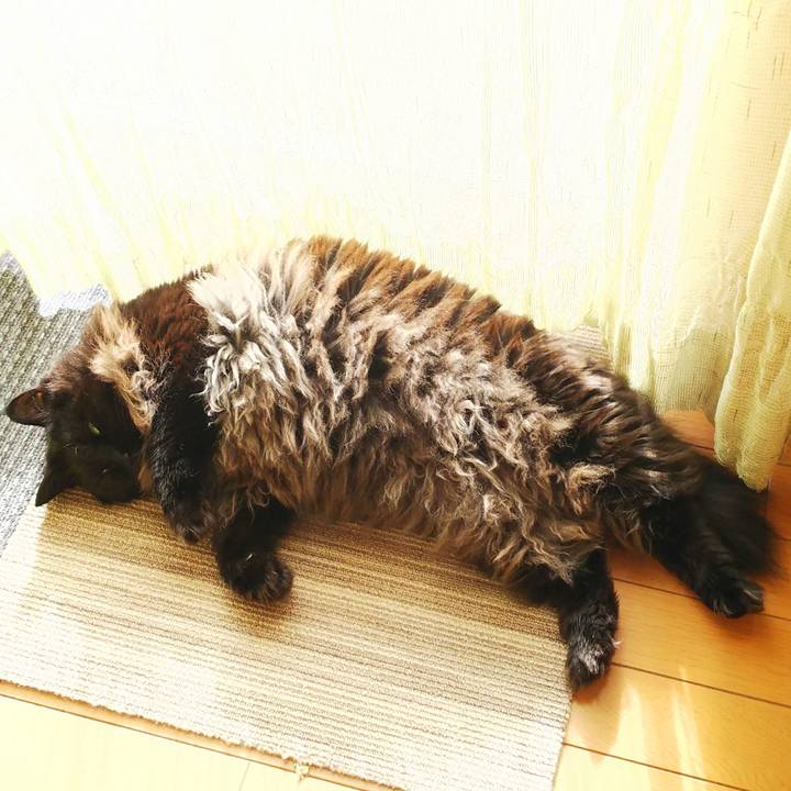 D6e680a8 7484 455e 9480 c1cf87ed6451 1512093097646