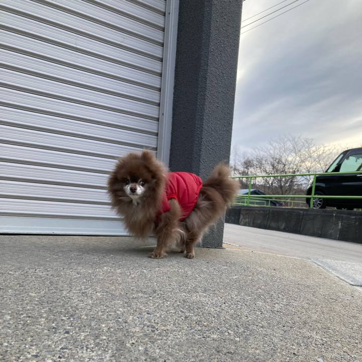 D6e6a0fd 7a7a 439c 85bb 8432d79a4604 1711342392752