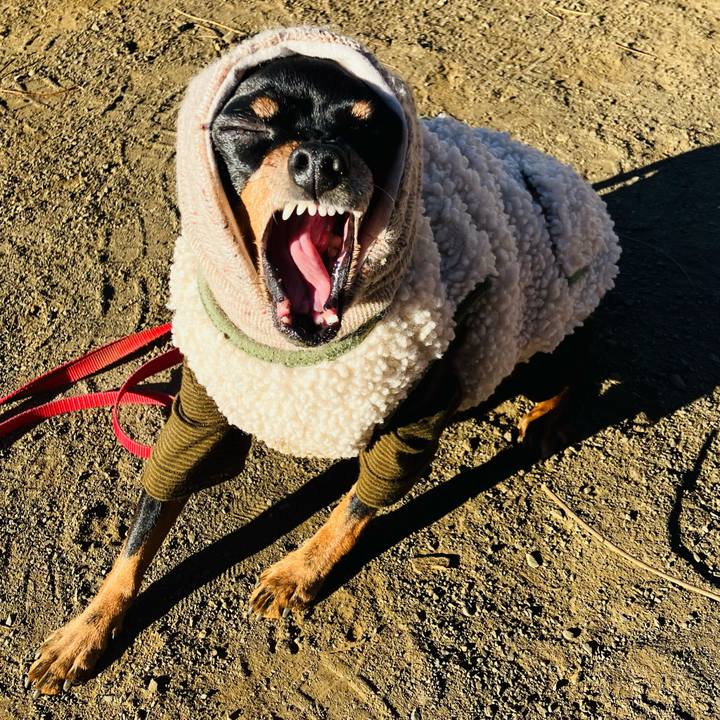 D6e6d138 c8a9 48c6 b2e8 a4354ae053df 1734745517592