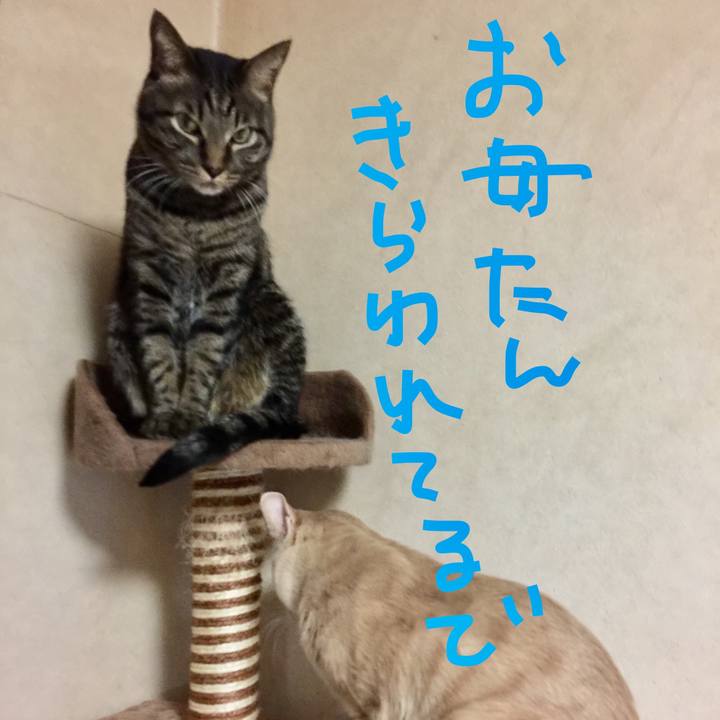 D6e6d84f ca52 4c57 84f7 71fee1b3f9c4 1511005615557