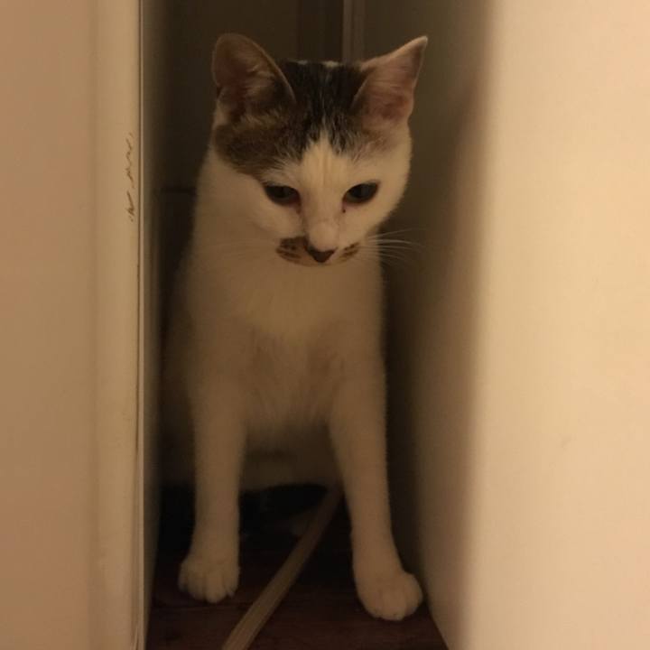 D6e6ff57 647e 43b1 a501 ab136834a187 1511765378748