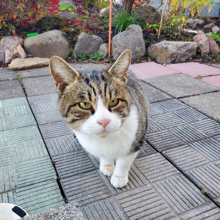 D6e71f8b b718 452e a9df b976e849f75f 1699895859089