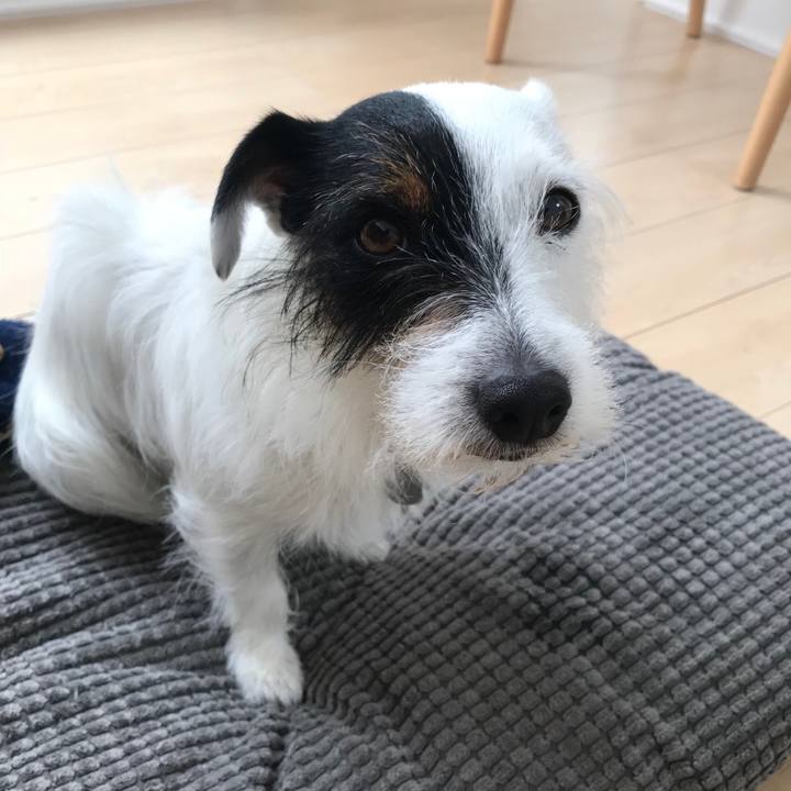 D6e72747 dc75 4f48 b577 d26c5657e1a3 1525825043015