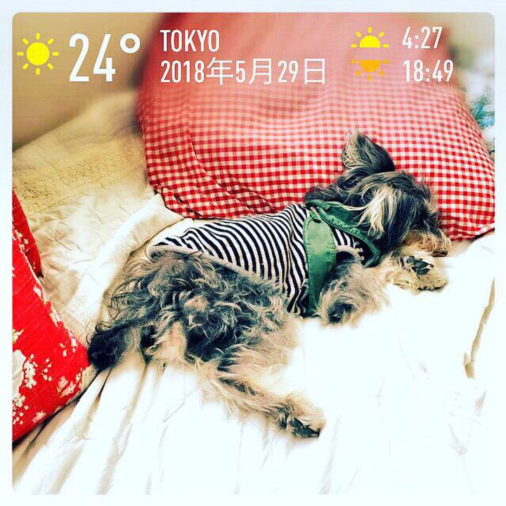 D6e727b7 ec2c 4f9c 9d84 c6007d1a5b99 1527581051964