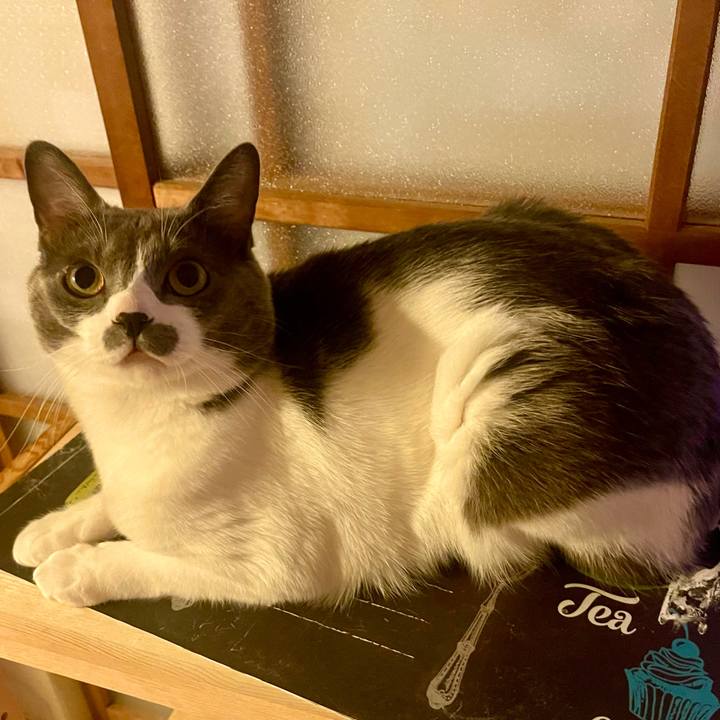 D6e72a51 f518 4536 b0f4 9ef15ba0c5dc 1634807001808