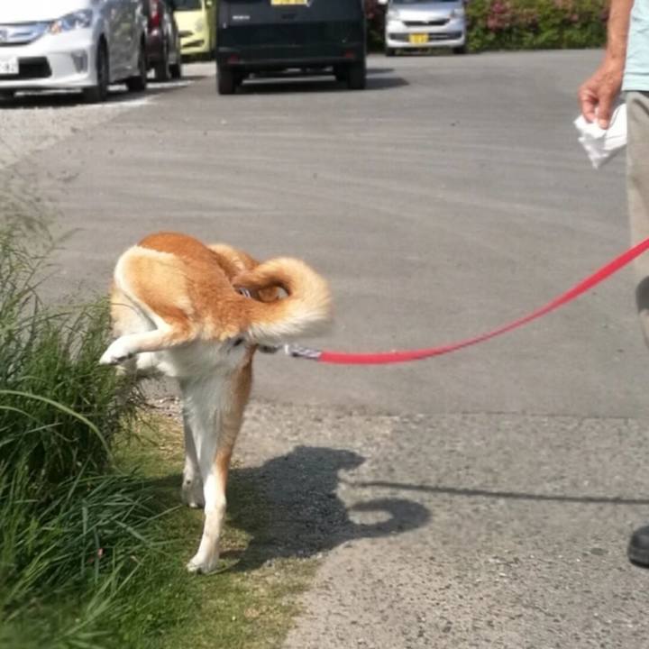 D6e77645 f570 4e9a a02e e1ab680cff7b 1557563418224