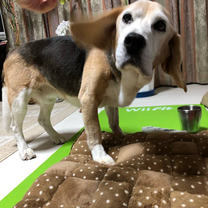 D6e77b12 d32d 405d b127 108c9c391fa8 1559913608744