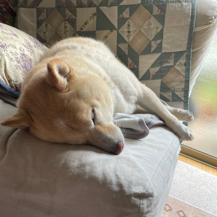 D6e7945f 7bf1 437b becb 4f33c4891c52 1743135813873