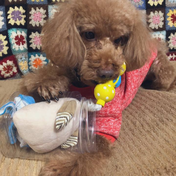 D6e7aee7 7285 4b0b b435 cc6c807968c0 1553680798285