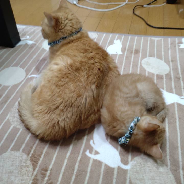 D6e81793 0740 4289 81bd fcf8b2fc4cbf 1669710396912