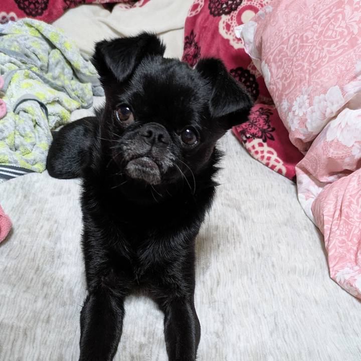 D6e81820 61f1 4cfa 910a d368f389d118 1771859540941