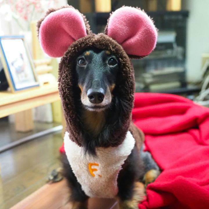 D6e83425 9a0b 4db8 ad24 f9f59157fdfd 1577937039385