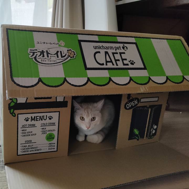 D6e8543f 6e13 4824 83ef d8a8536e51b1 1660019303013