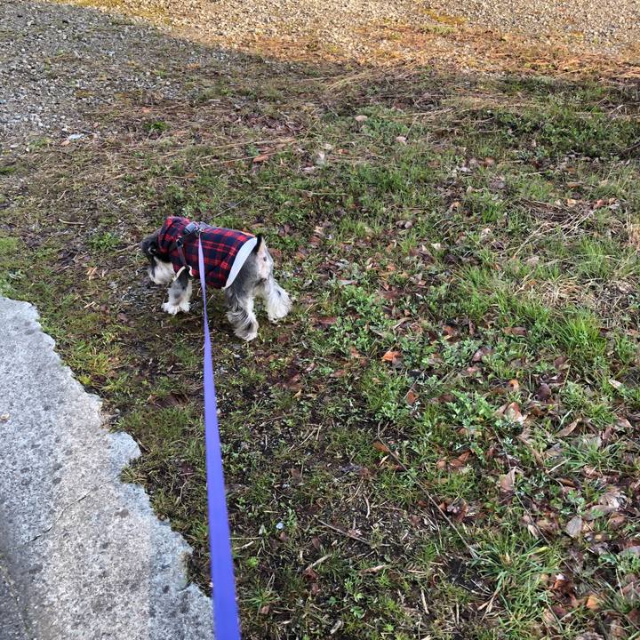 D6e860a7 1413 4407 b3fa ab5f1ae830c3 1679350232147