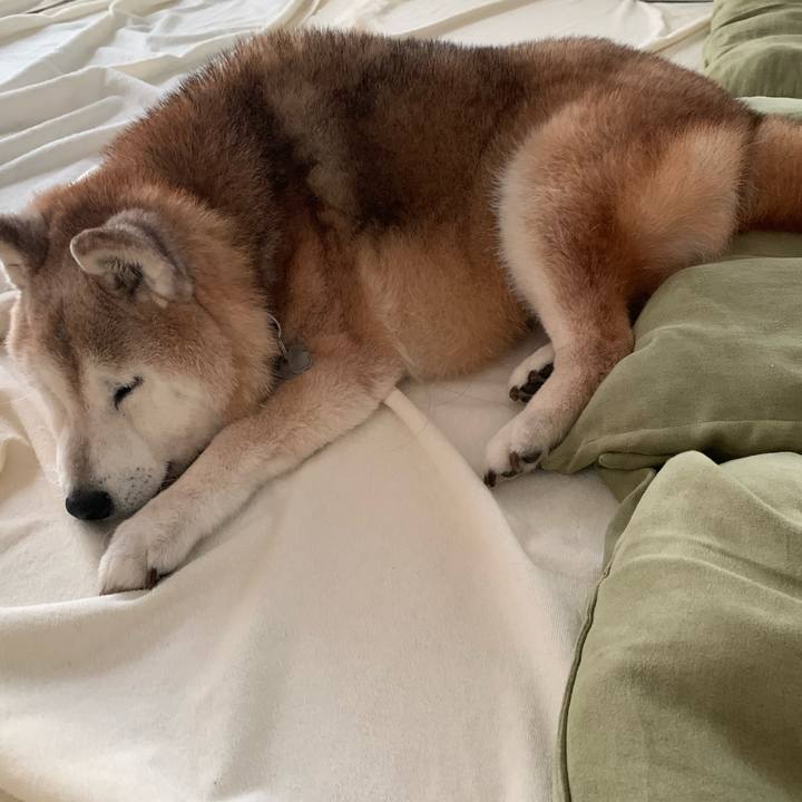 D6e88859 a6ba 4392 8293 7cef1b23feb9 1697356538473