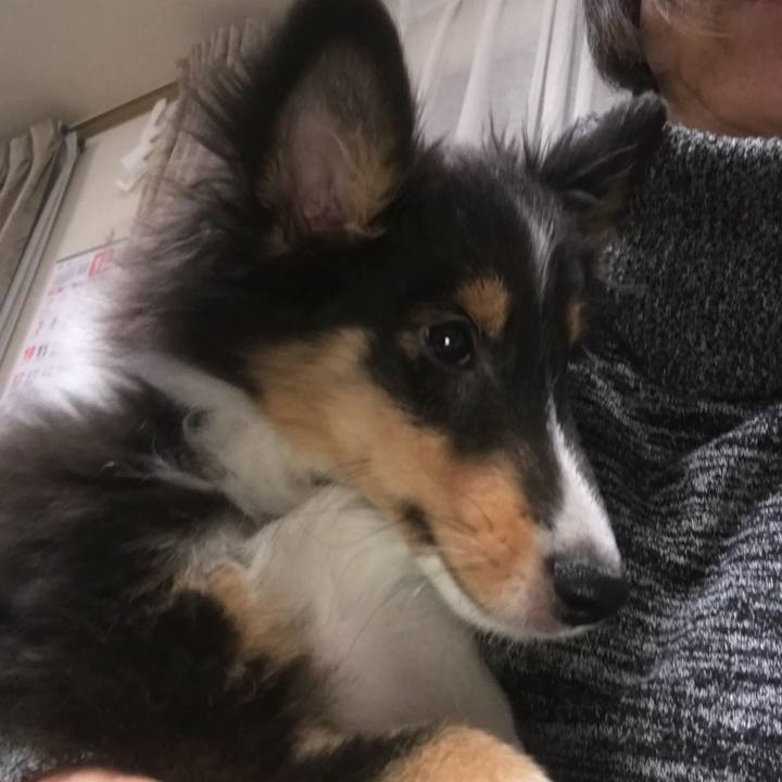 D6e89d70 a4a1 4df0 8ed7 ef1b69811769 1512828501712