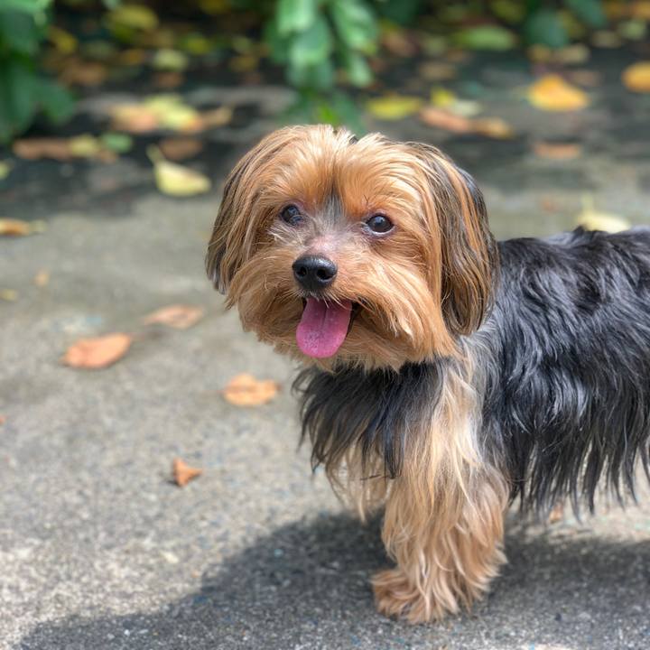 D6e8a3eb 26b0 43b8 9f29 2b77f5c47908 1563338024129