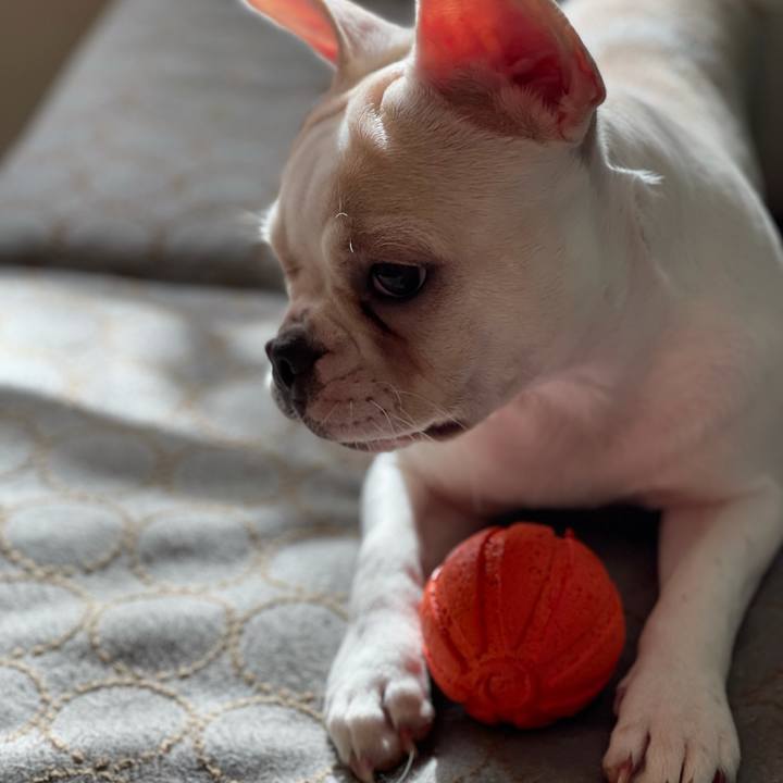 D6e8f9d0 10fb 43c8 8986 40148d0794ab 1606177648596