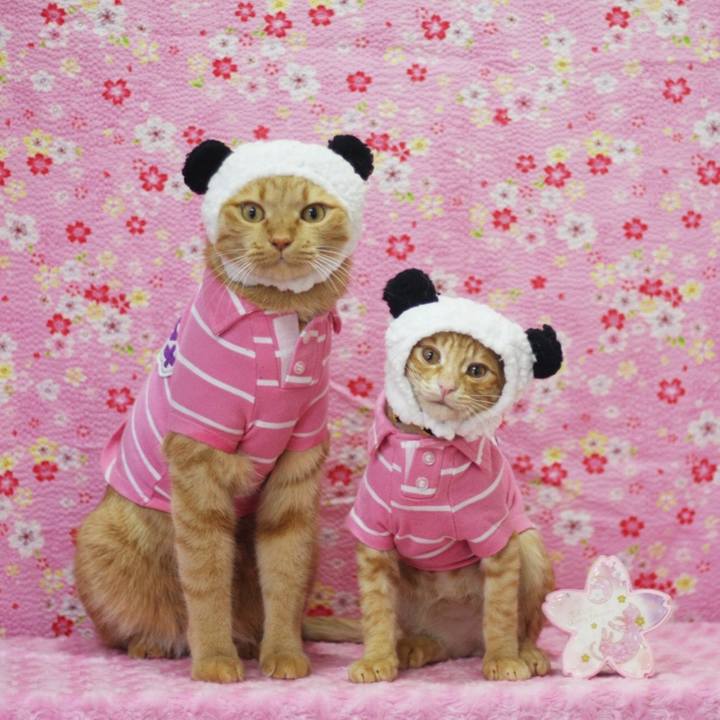 D6e91991 a241 41f3 849c f75172ebc16e 1677887416377