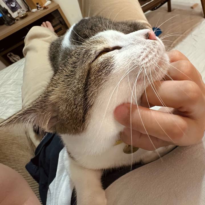 D6e925e8 ee7a 4e45 b7c7 86bfcdfe110c 1758620128695