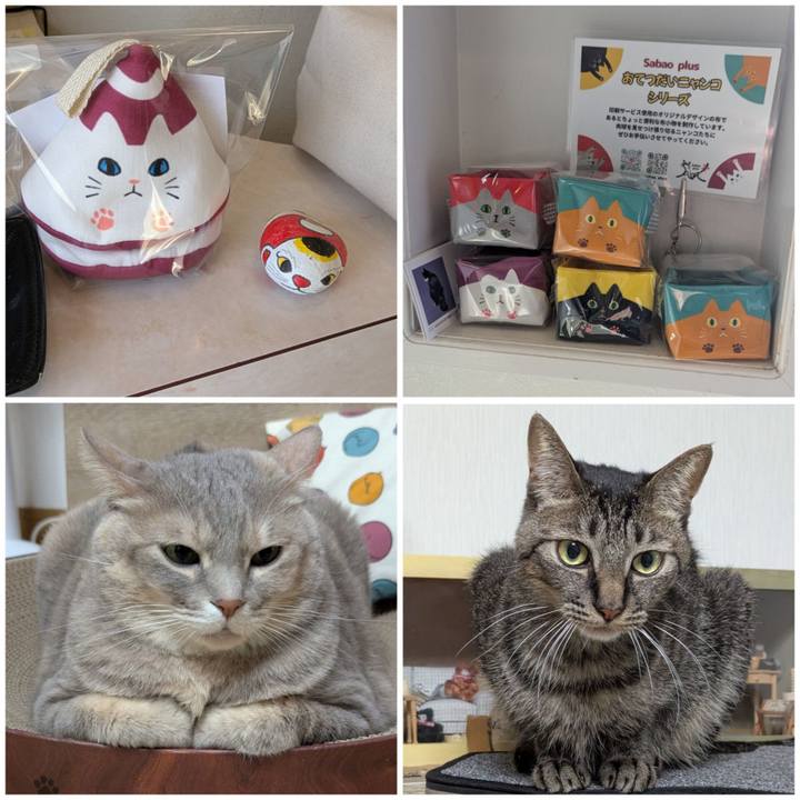 D6e925ed de1a 4414 9171 573bea1accd5 1763451355665