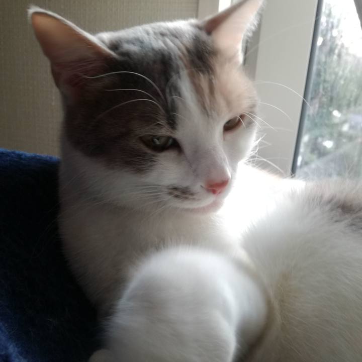 D6e95e03 4232 46ed 98c1 d9e40d97b599 1518045247654