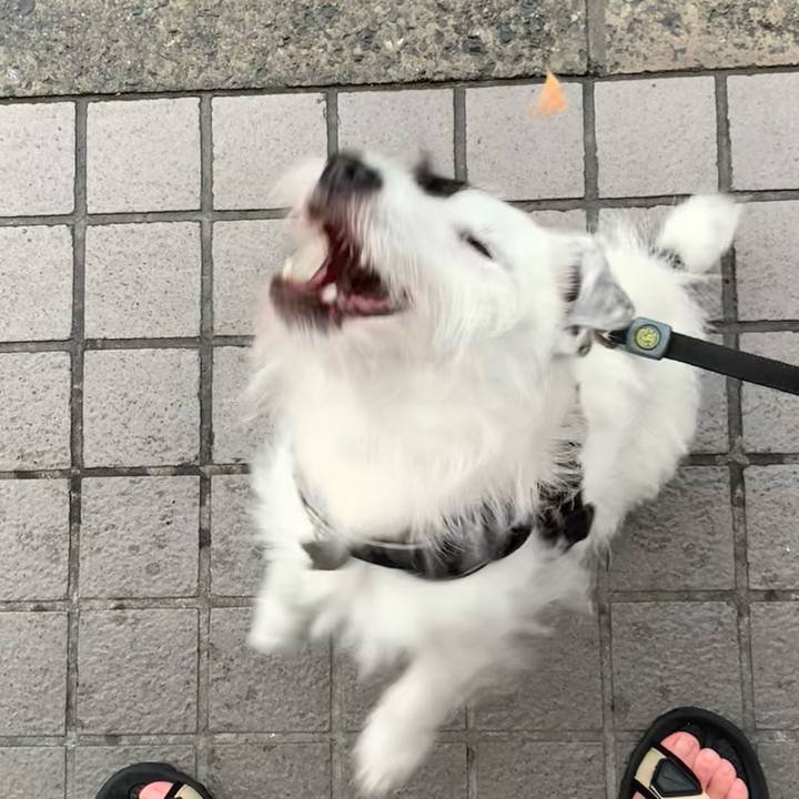 D6e9a82c 0759 43b1 8ba7 26d621bcd575 1719821871028