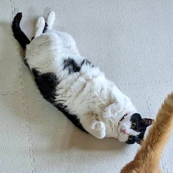 D6e9c297 d3df 4a84 8a07 f33a0c3f8abb 1718797604826