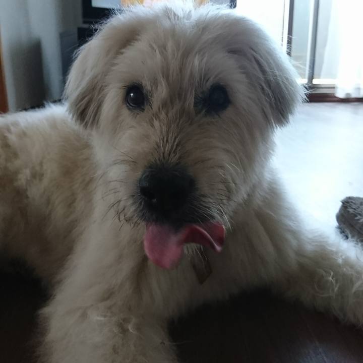 D6e9cc52 b6af 4c7f 9b05 45a7b0ab56e8 1565337032312